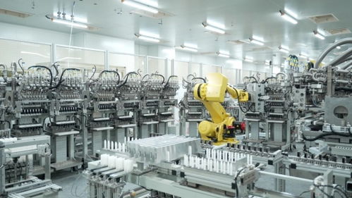 山东重工 以数智化转型为引擎，技术开发领航高质量发展