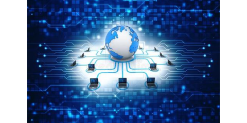 金山区网络技术开发 优质服务，量大从优